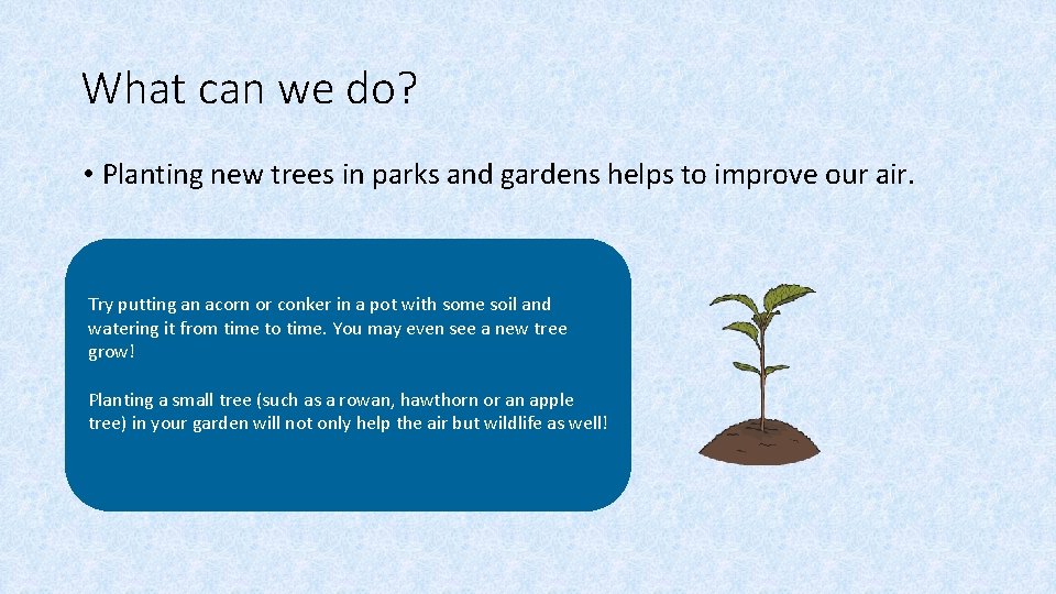 What can we do? • Planting new trees in parks and gardens helps to What can we do? • Planting new trees in parks and gardens helps to