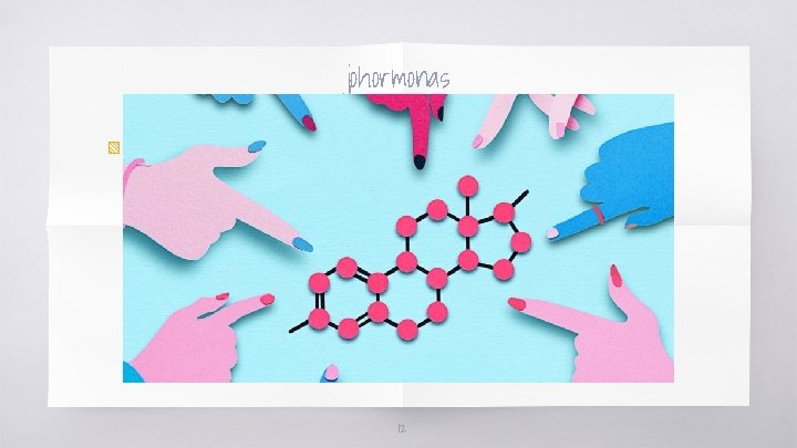 johormonas ▧ Las hormonas son sustancias segregadas por células especializadas, localizadas en glándulas endocrinas,