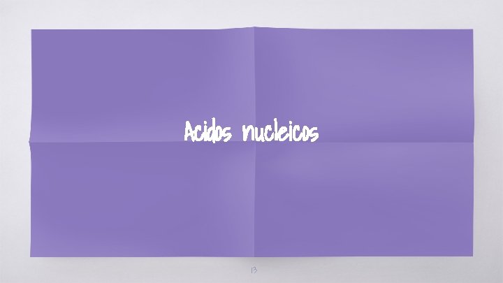 Acidos nucleicos 13 