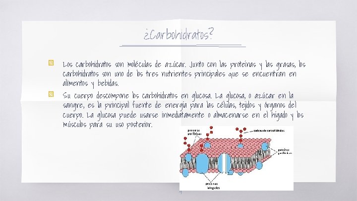 ¿Carbohidratos? ▧ ▧ Los carbohidratos son moléculas de azúcar. Junto con las proteínas y