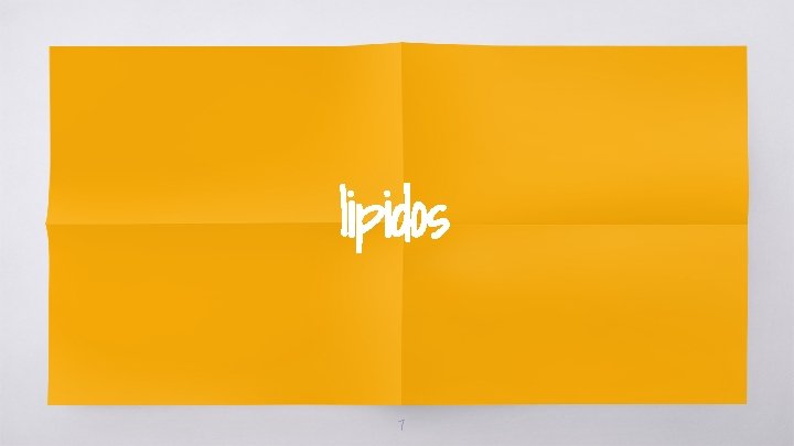 lipidos 7 