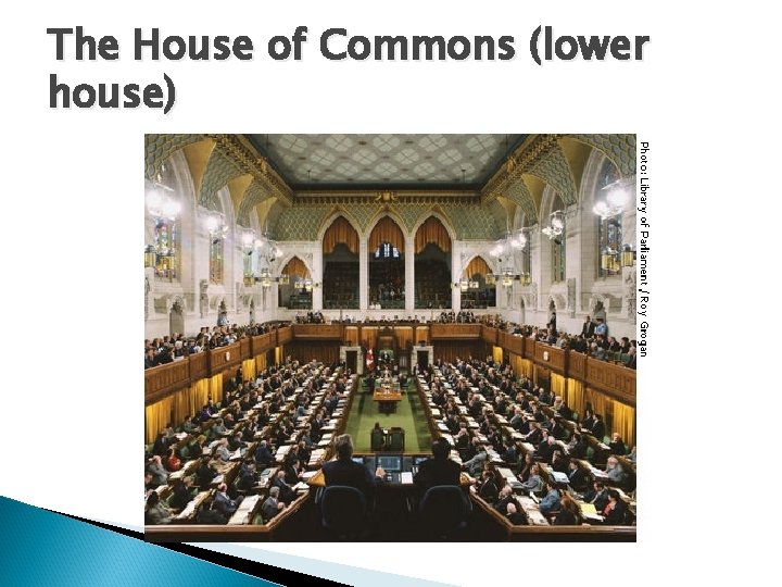 The House of Commons (lower house) 