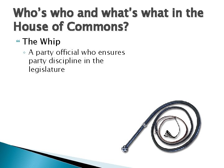 Who’s who and what’s what in the House of Commons? The Whip ◦ A