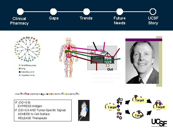 Clinical Pharmacy Gaps Trends Future Needs UCSF Story Lung Adipose In Liver Out Other