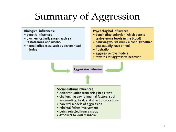 Summary of Aggression 11 