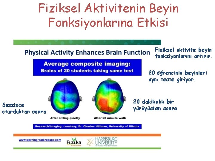 Fiziksel Aktivitenin Beyin Fonksiyonlarına Etkisi Fiziksel aktivite beyin fonksiyonlarını artırır. 20 öğrencinin beyinleri aynı