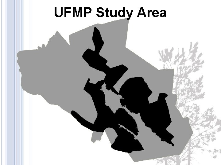UFMP Study Area 