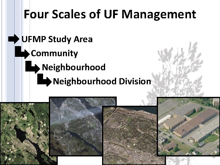 Four Scales of UF Management • UFMP Study Area Community Neighbourhood Division 