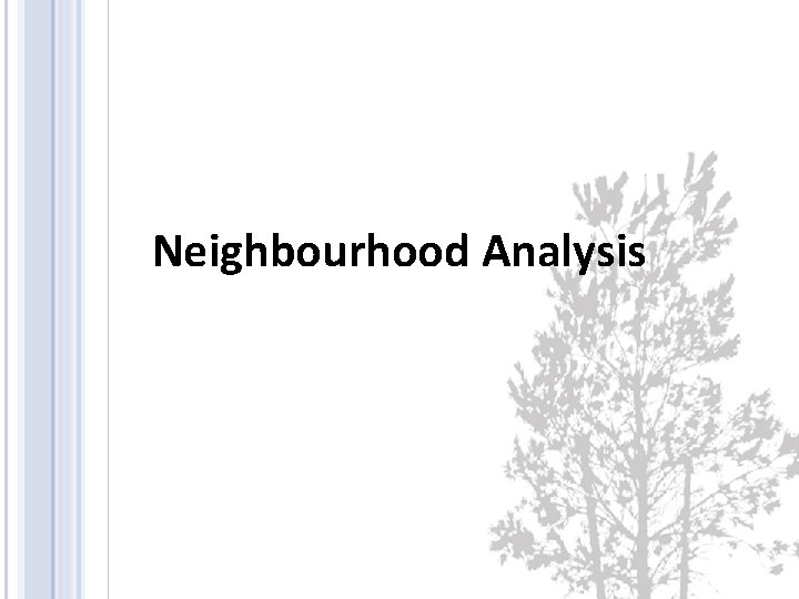 Neighbourhood Analysis 