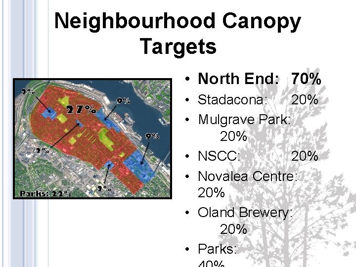 Neighbourhood Canopy Targets • North End: 70% • Stadacona: 20% • Mulgrave Park: 20%