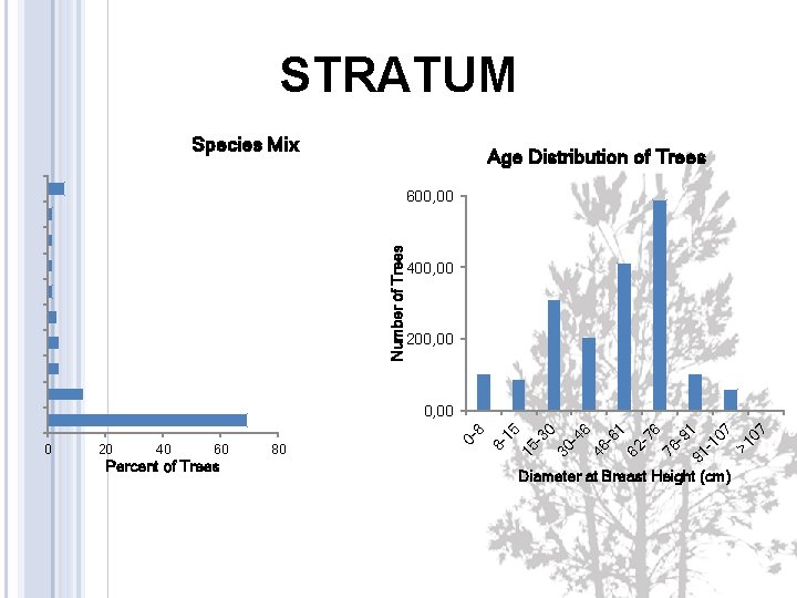 STRATUM Species Mix 600, 00 Number of Trees 400, 00 200, 00 7 >1