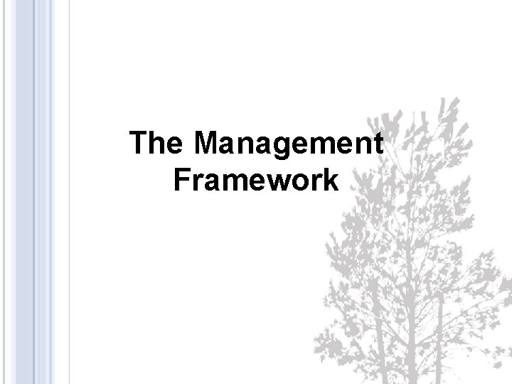 The Management Framework 