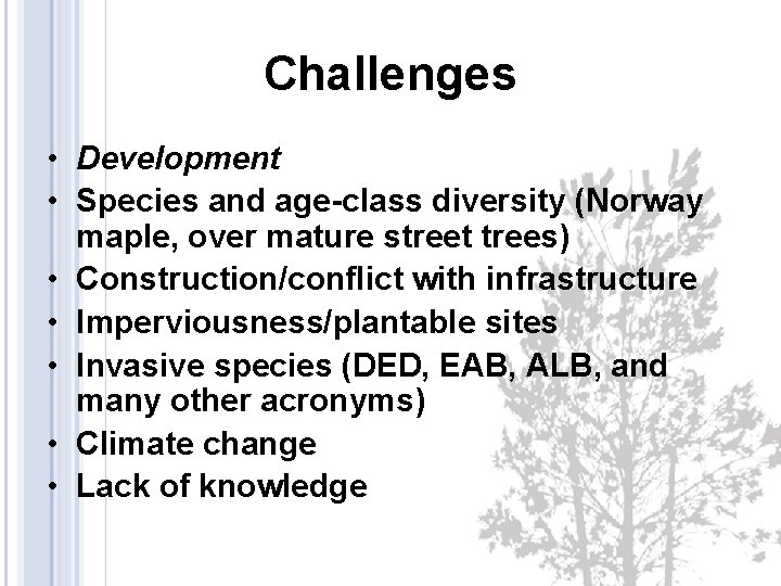 Challenges • Development • Species and age-class diversity (Norway maple, over mature street trees)