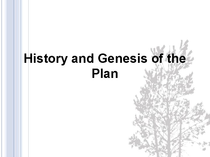 History and Genesis of the Plan 