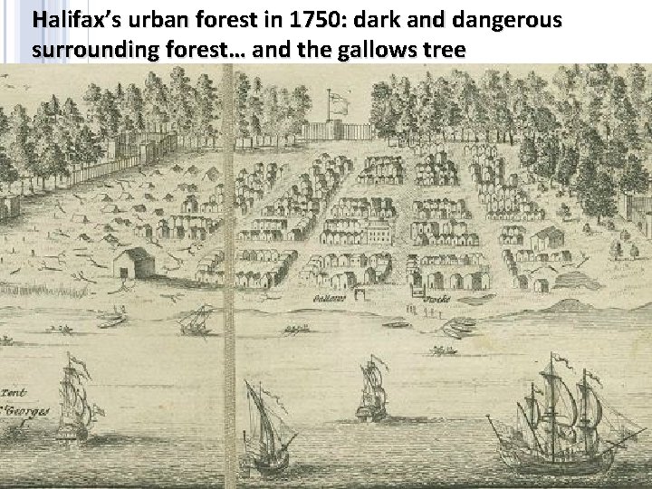 Halifax’s urban forest in 1750: dark and dangerous surrounding forest… and the gallows tree