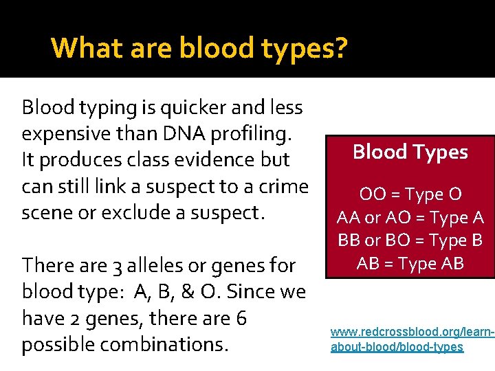 What are blood types? Blood typing is quicker and less expensive than DNA profiling.