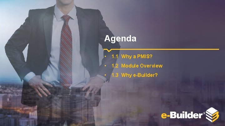 Agenda • 1. 1 Why a PMIS? • 1. 2 Module Overview • 1.