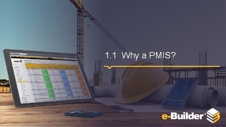 1. 1 Why a PMIS? 
