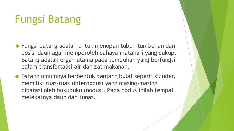 Fungsi Batang Fungsi batang adalah untuk menopan tubuh tumbuhan dan posisi daun agar memperoleh