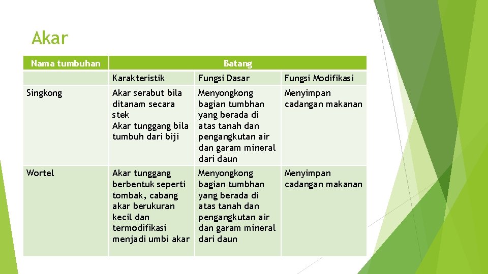 Akar Nama tumbuhan Batang Karakteristik Fungsi Dasar Fungsi Modifikasi Singkong Akar serabut bila ditanam