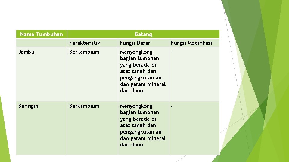 Nama Tumbuhan Batang Karakteristik Fungsi Dasar Fungsi Modifikasi Jambu Berkambium Menyongkong bagian tumbhan yang