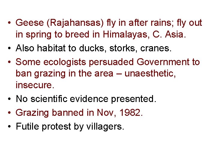  • Geese (Rajahansas) fly in after rains; fly out in spring to breed