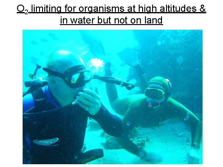 O 2 limiting for organisms at high altitudes & in water but not on