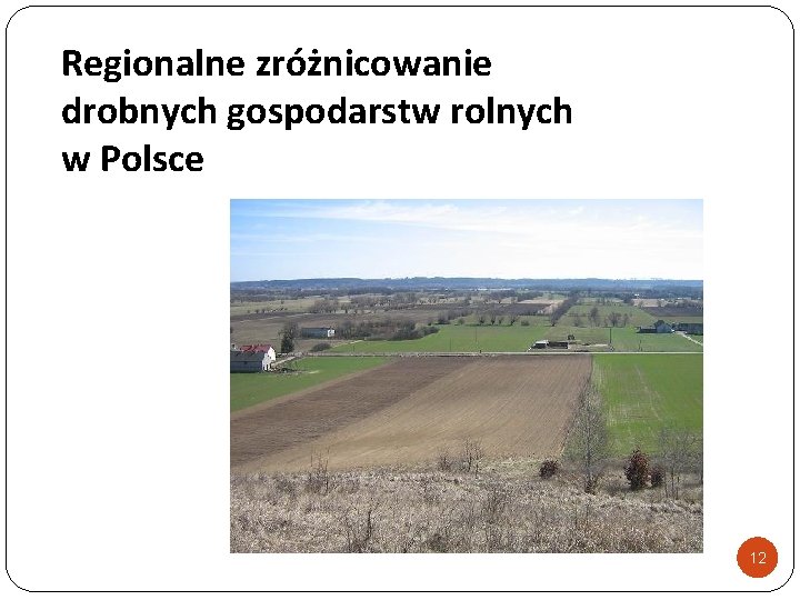 Regionalne zróżnicowanie drobnych gospodarstw rolnych w Polsce 12 