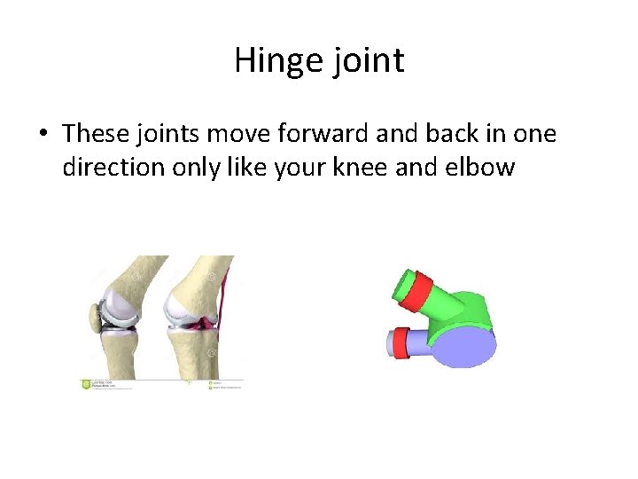 Hinge joint • These joints move forward and back in one direction only like