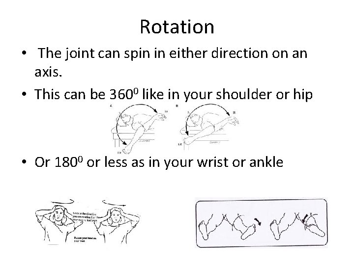 Rotation • The joint can spin in either direction on an axis. • This