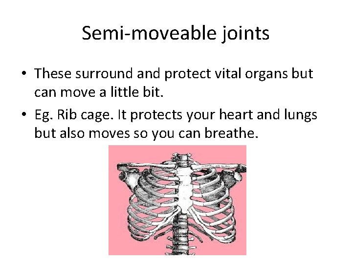 Semi-moveable joints • These surround and protect vital organs but can move a little