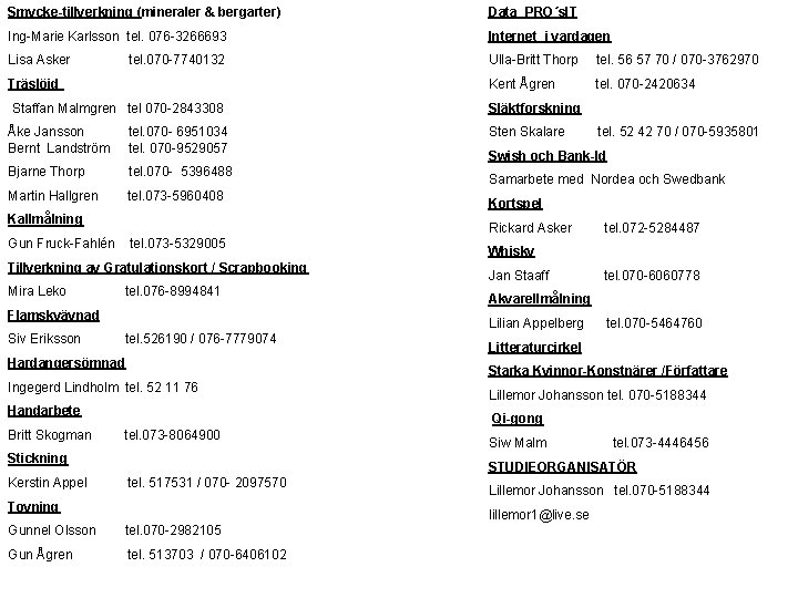 Smycke-tillverkning (mineraler & bergarter) Data PRO´s. IT Ing-Marie Karlsson tel. 076 -3266693 Internet i