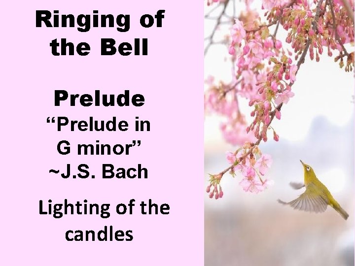 Ringing of the Bell Prelude “Prelude in G minor” ~J. S. Bach Lighting of