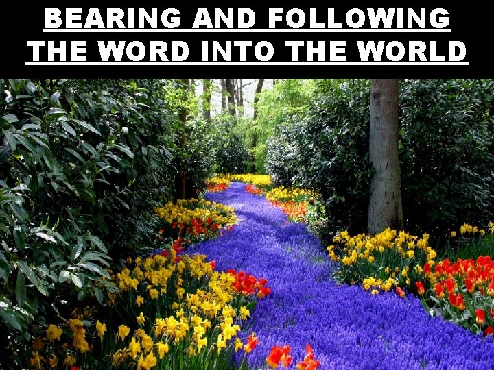 BEARING AND FOLLOWING THE WORD INTO THE WORLD 