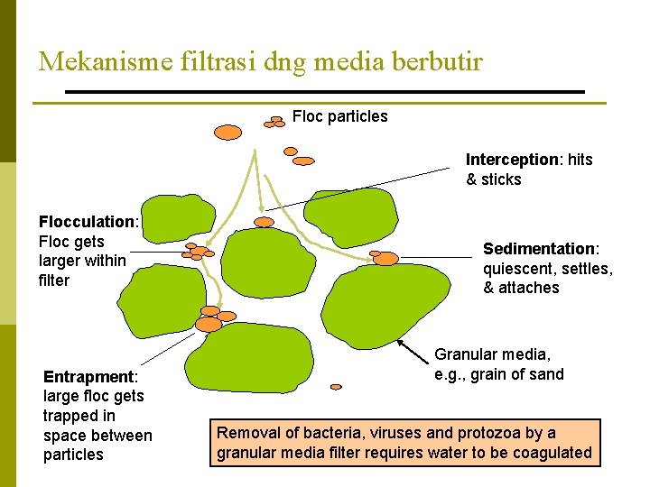 Mekanisme filtrasi dng media berbutir Floc particles Interception: hits & sticks Flocculation: Floc gets