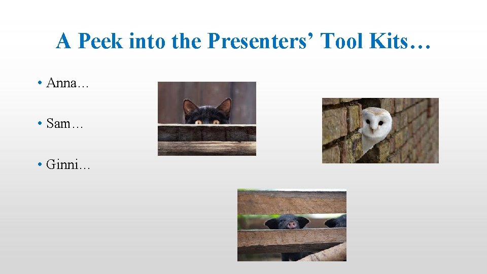 A Peek into the Presenters’ Tool Kits… • Anna… • Sam… • Ginni… 