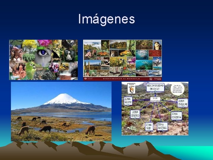 Imágenes 
