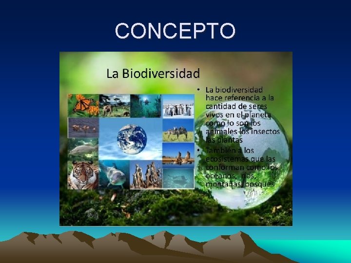CONCEPTO 