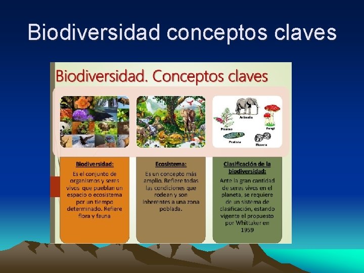 Biodiversidad conceptos claves 