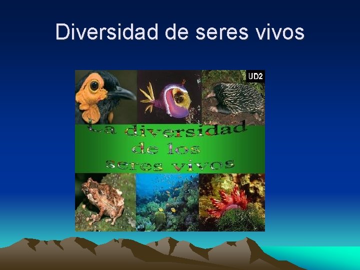 Diversidad de seres vivos 