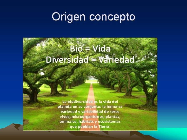Origen concepto 