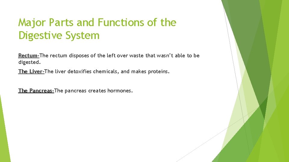 Major Parts and Functions of the Digestive System Rectum-The rectum disposes of the left