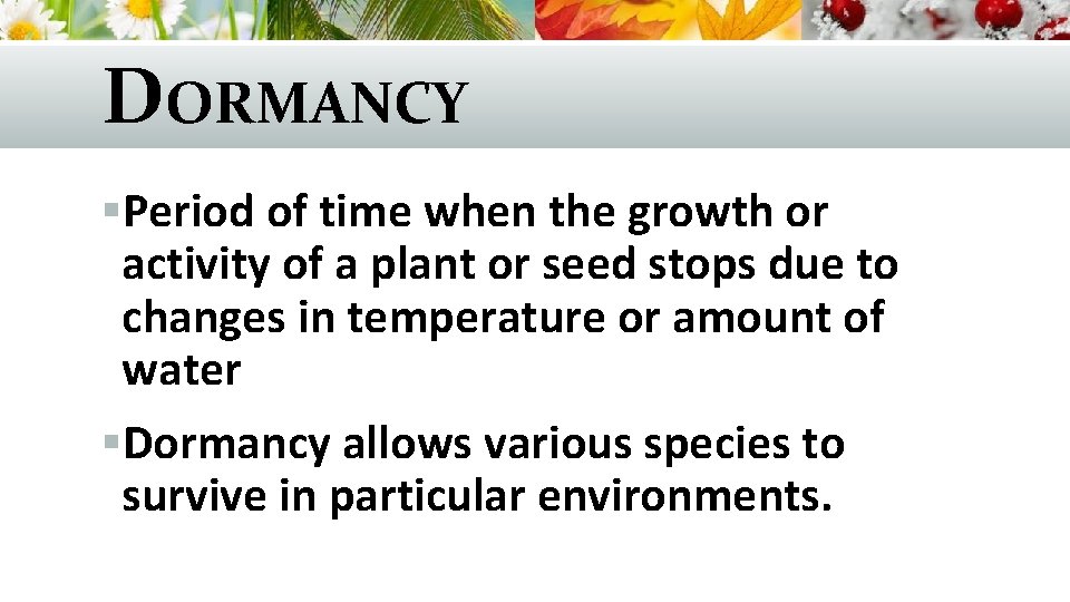 DORMANCY §Period of time when the growth or activity of a plant or seed