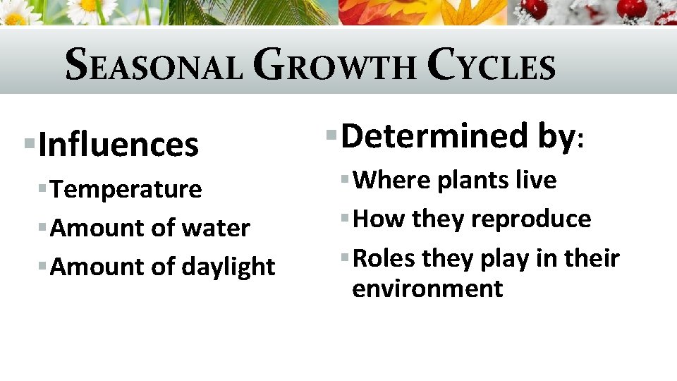 SEASONAL GROWTH CYCLES §Influences § Temperature § Amount of water § Amount of daylight