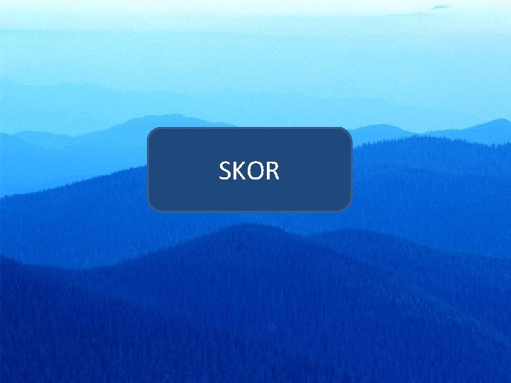 SKOR 