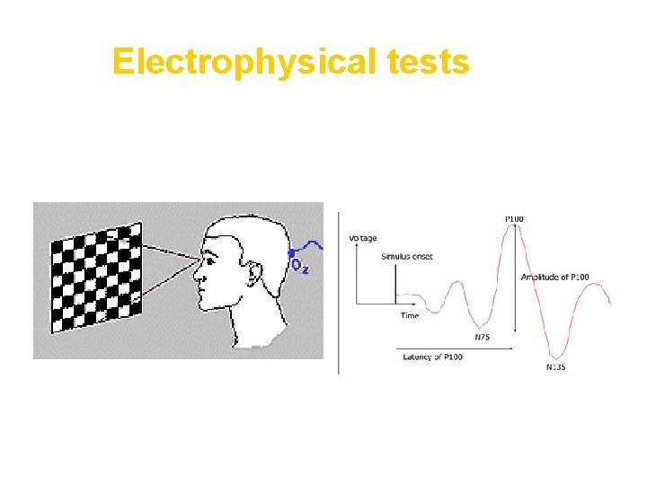 Electrophysical tests 