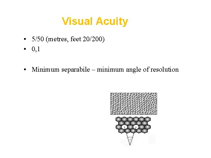 Visual Acuity • 5/50 (metres, feet 20/200) • 0, 1 • Minimum separabile –