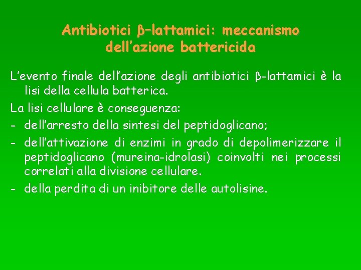 Antibiotici β–lattamici: meccanismo dell’azione battericida L’evento finale dell’azione degli antibiotici β-lattamici è la lisi