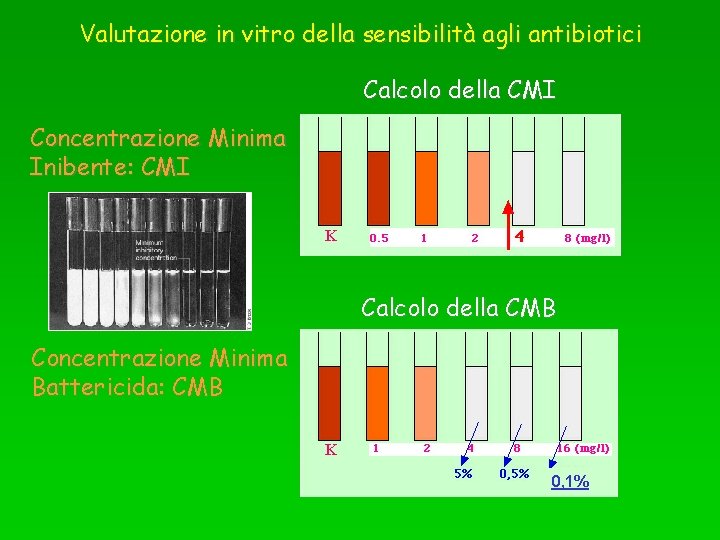 Valutazione in vitro della sensibilità agli antibiotici Calcolo della CMI Concentrazione Minima Inibente: CMI