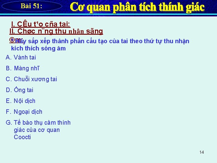 Bài 51: I. CÊu t¹o cña tai: II. Chøc n¨ng thu nhận sãng ©m: